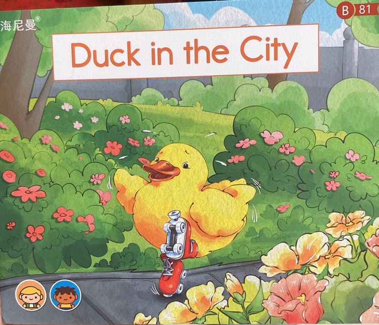 海尼曼GK2-81 Duck in the City