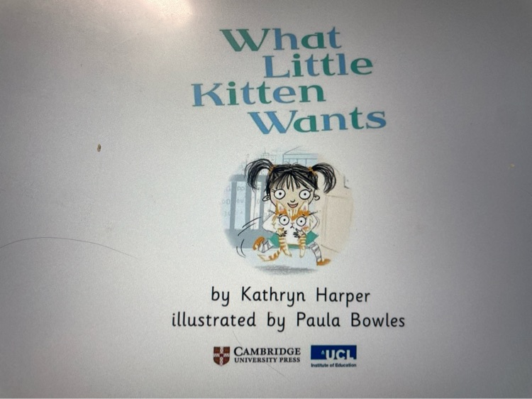 What little kitten want