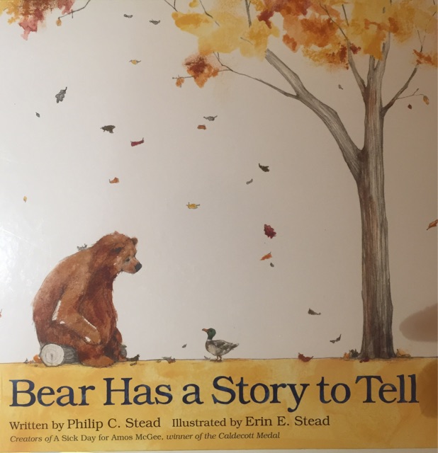 Bear has a story to tell