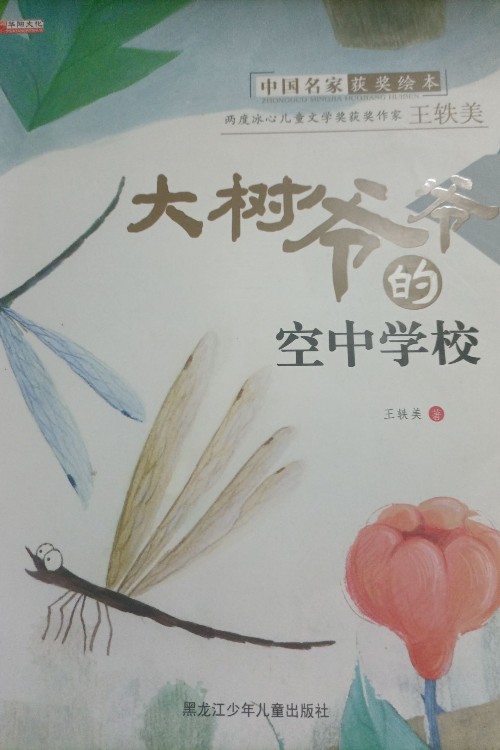 大树爷爷的空中学校