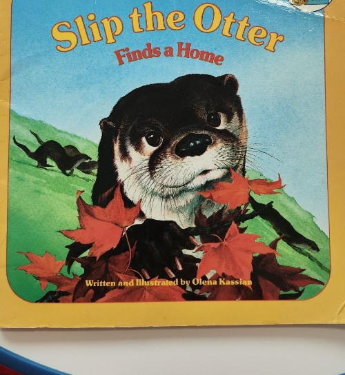 Slip the otter finds a home