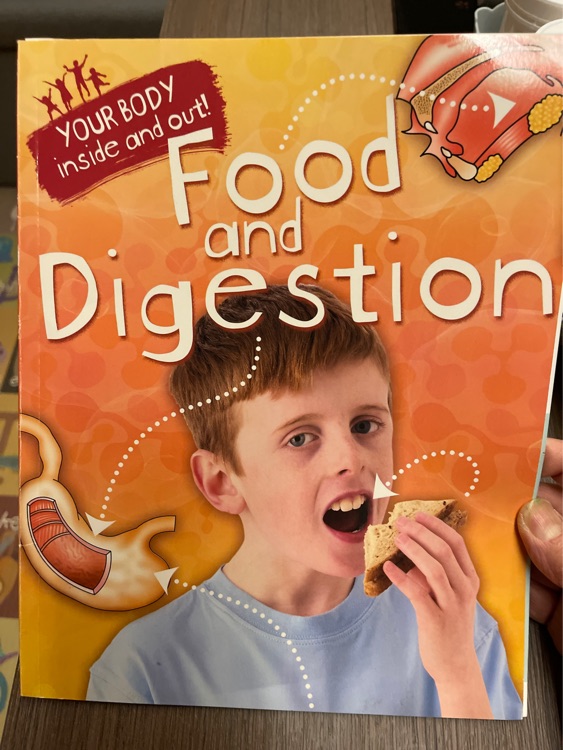 Food and Digestion