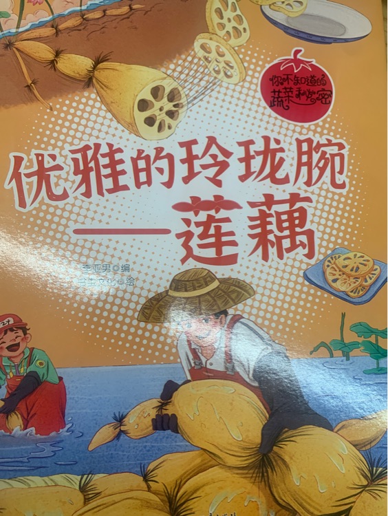 優(yōu)雅的玲瓏腕——蓮藕