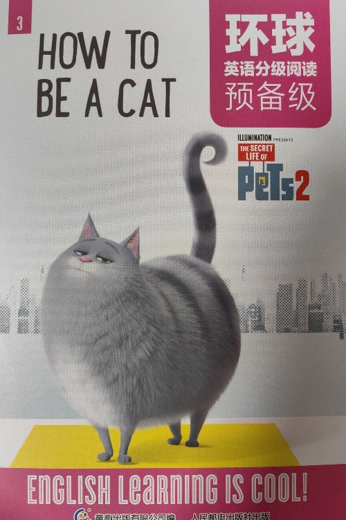 how to be a cat