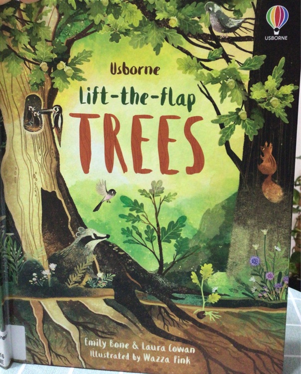 Usborne Lift-the-Flap Trees