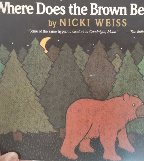 where Does the Brown bear go?