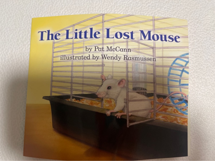 The Little Lost Mouse