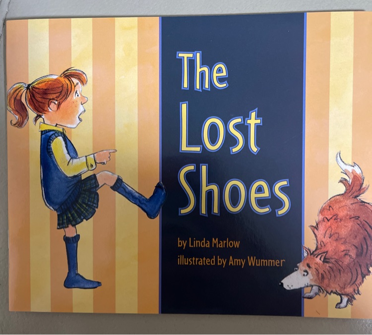 The Lost Shoes