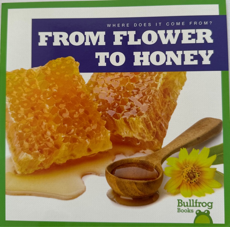 From flower to honey