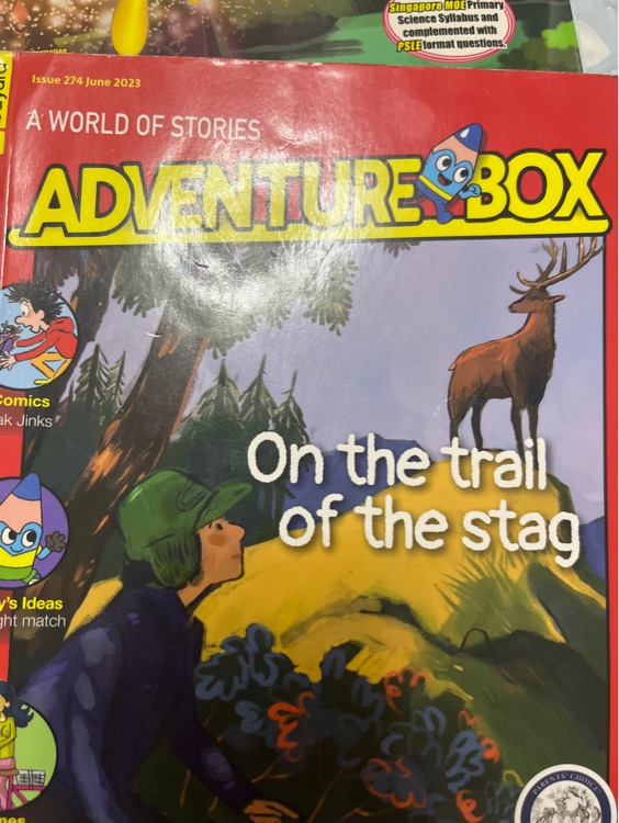 adventure box