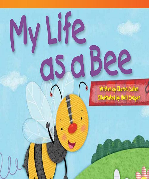 My life as a bee