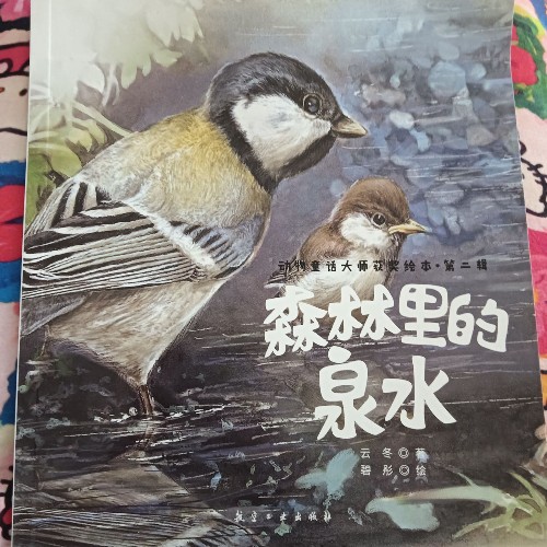 森林里的泉水