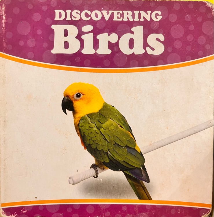 Discovering Birds