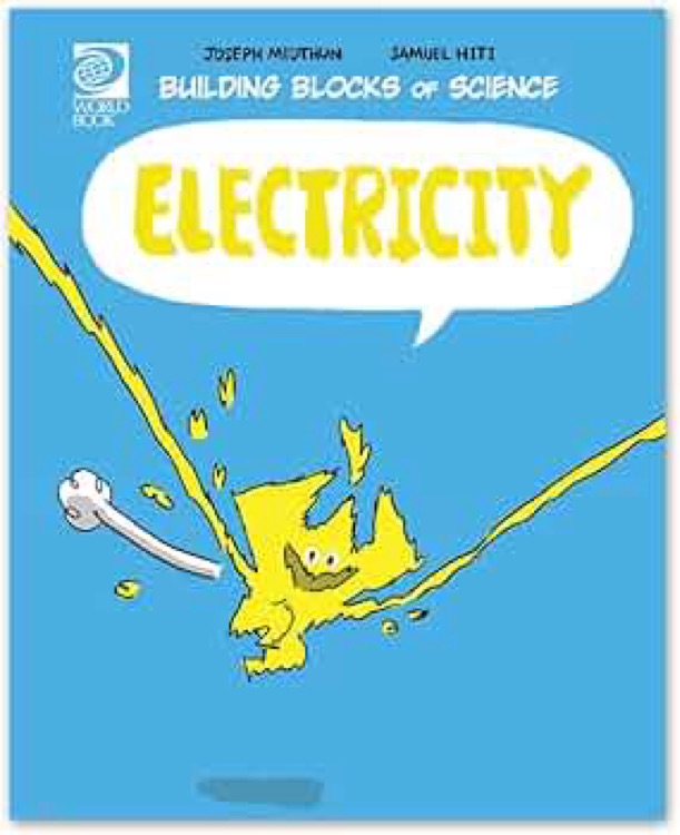 Electricity (Building Blocks of Physical Science/Soft Cover)