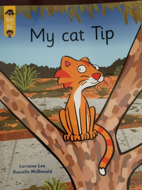 My cat Tip