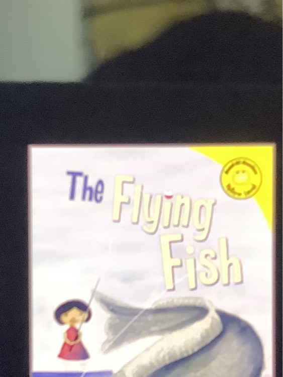 The flying fish