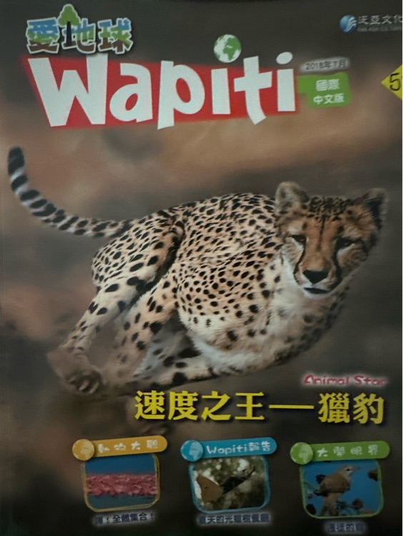 wapiti速度之王-獵豹