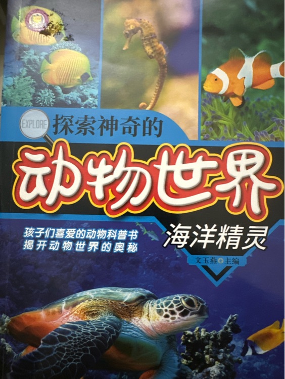 動物世界海洋精靈