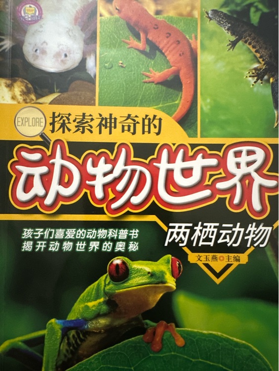 動物世界兩棲動物