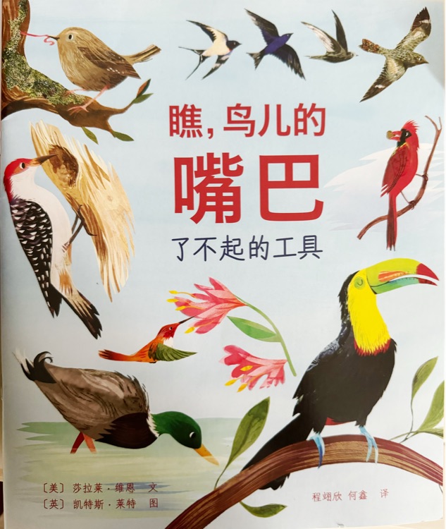 瞧, 鳥兒的嘴巴