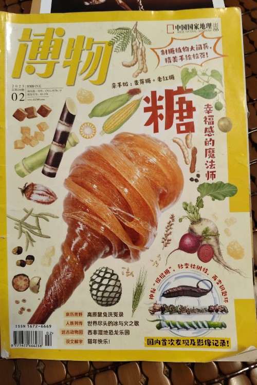 博物"糖"2023.02