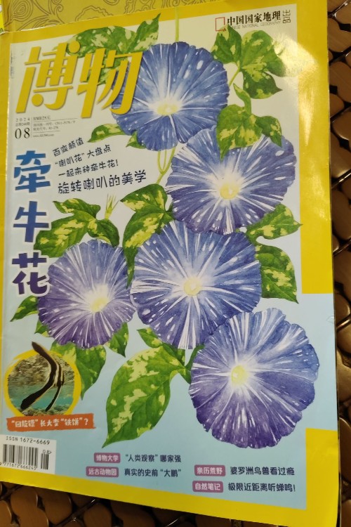 博物2024.8