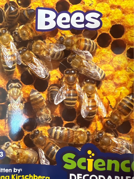 bees