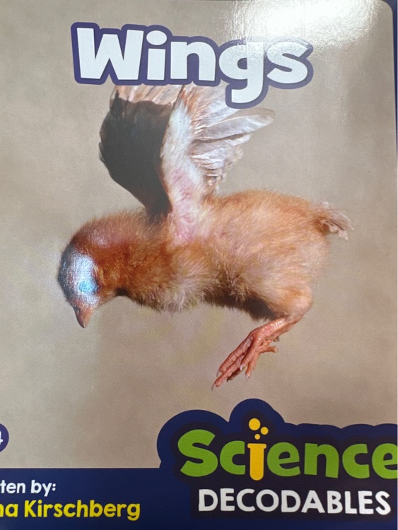 wings