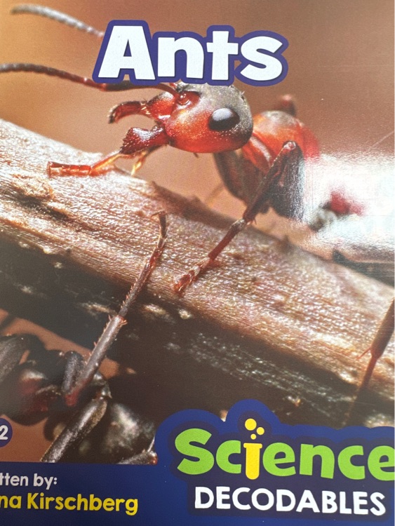 ants