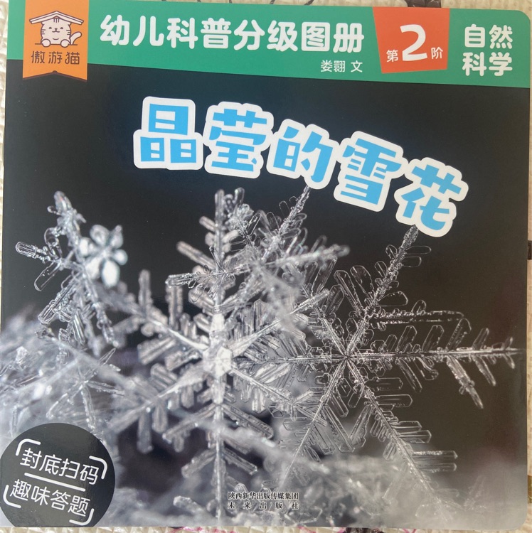 晶瑩的雪花