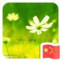 41號小點(diǎn)點(diǎn)