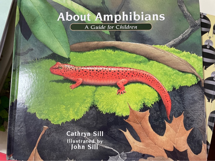 About amphibians