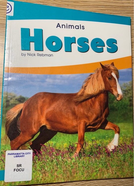 Animals Horses