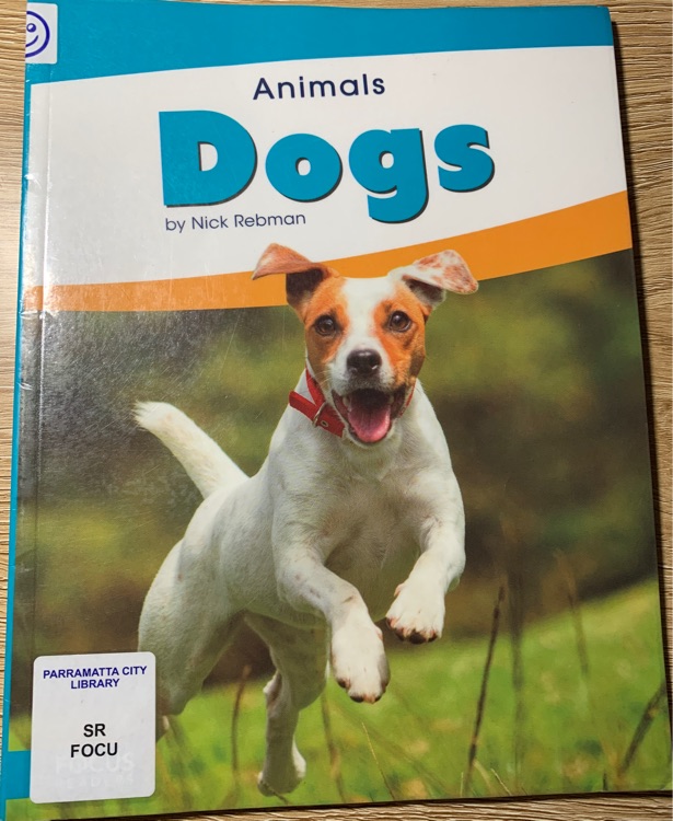 Animals Dogs