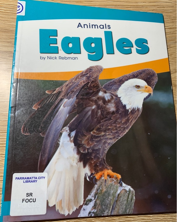 Animals Eagles