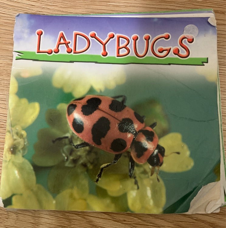 Ladybugs(Take-Home Reading Level 24)