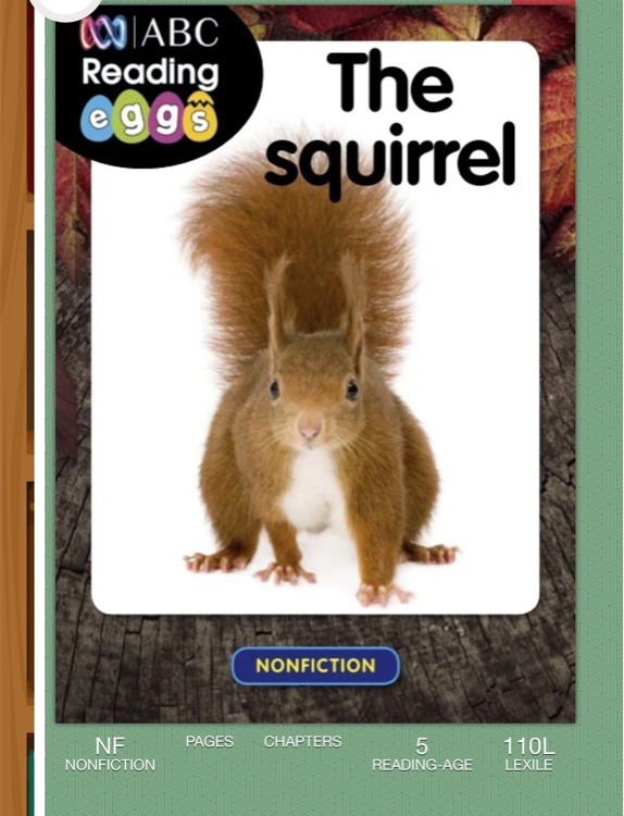 The Squirrel