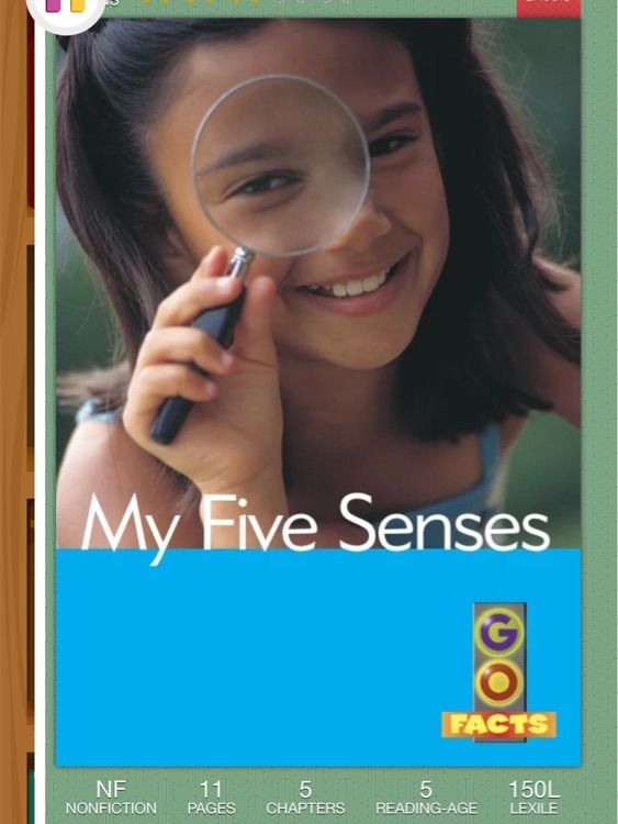 My five senses