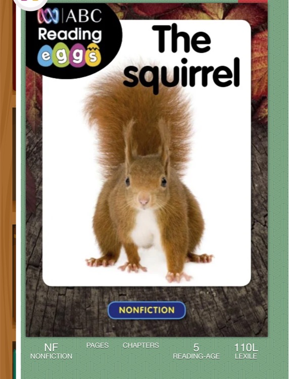 The squirrel