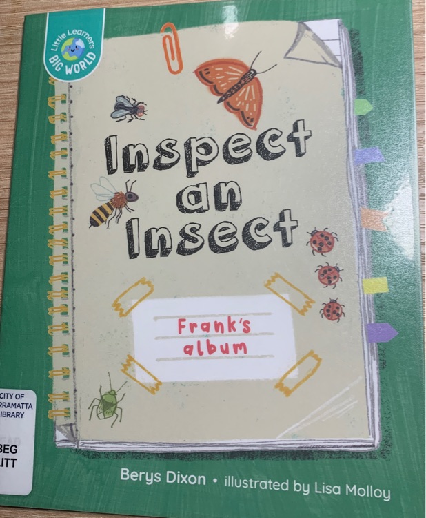 Inspect an Insect