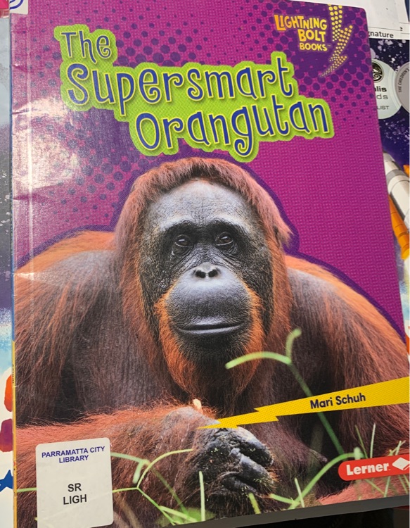 The Supersmart Orangutan