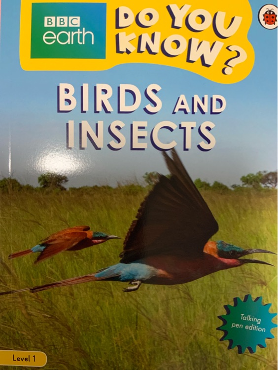 BBC1 birds and  insects