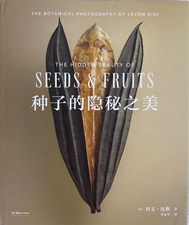 種子的隱忍之美