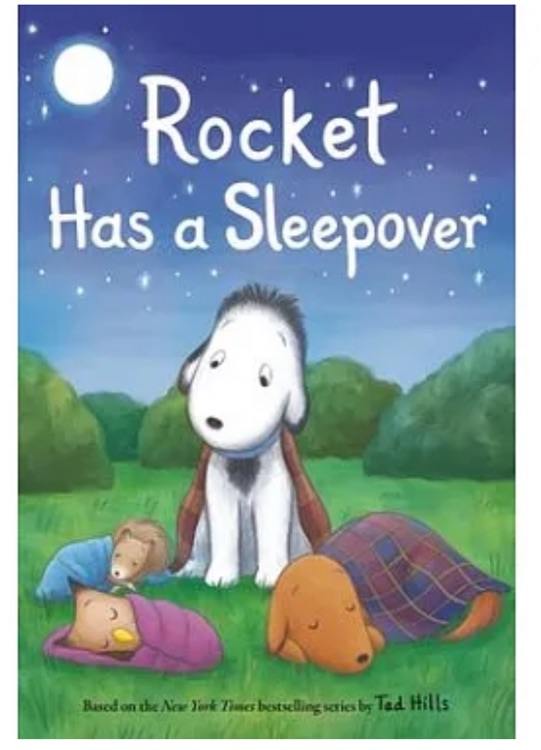 Rocket Has a Sleepover