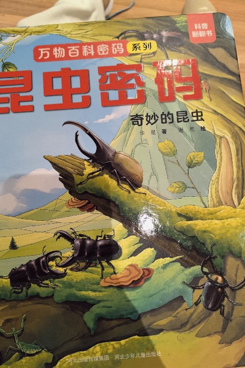 昆蟲密碼