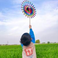 小海豚听风