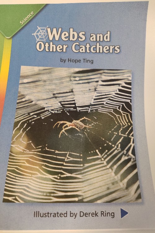 webs and other catchers