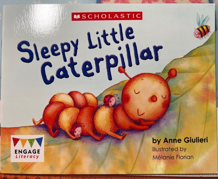 Sleepy little caterpillar