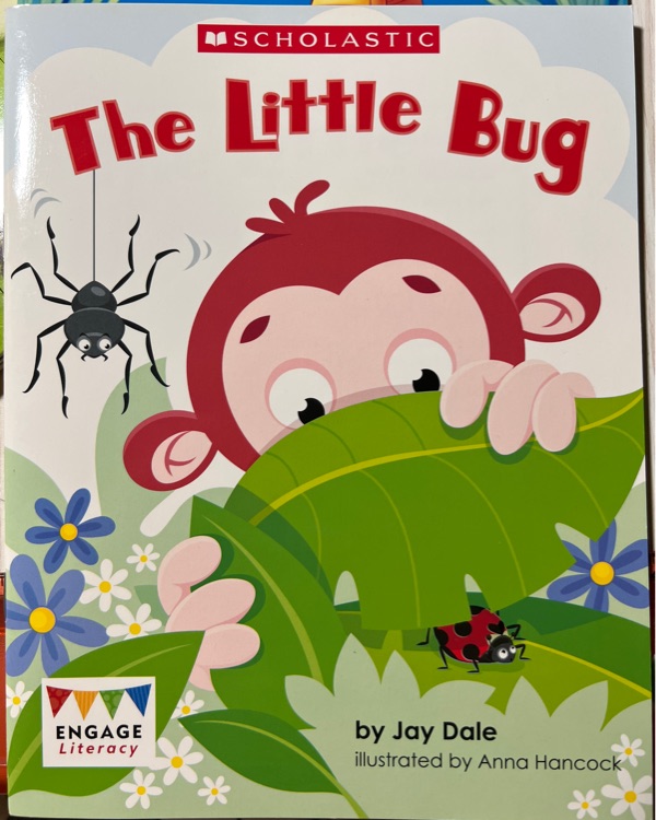 The little bug