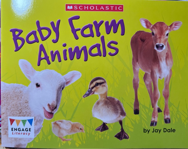 Baby farm animals